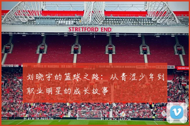 刘晓宇的篮球之路：从青涩少年到职业明星的成长故事