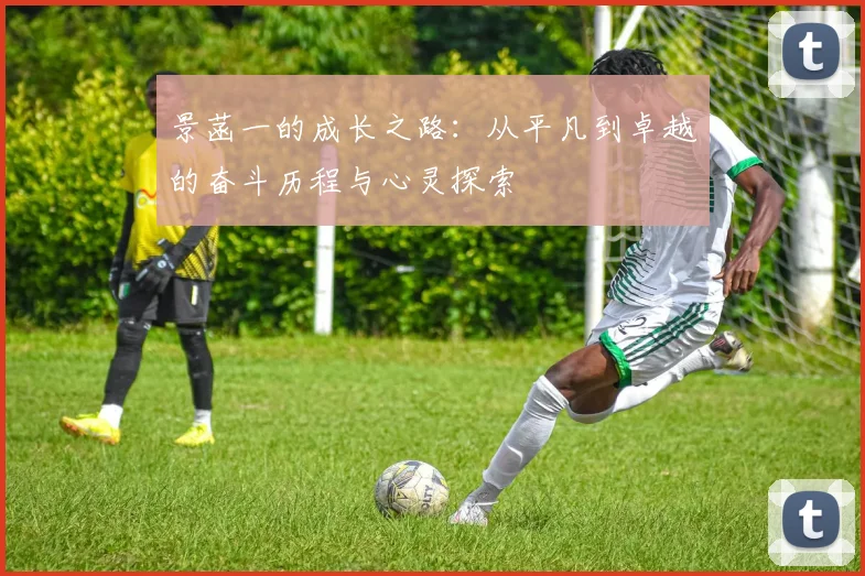 景菡一的成长之路：从平凡到卓越的奋斗历程与心灵探索