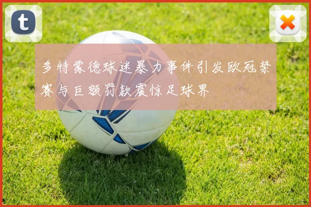 多特蒙德球迷暴力事件引发欧冠禁赛与巨额罚款震惊足球界