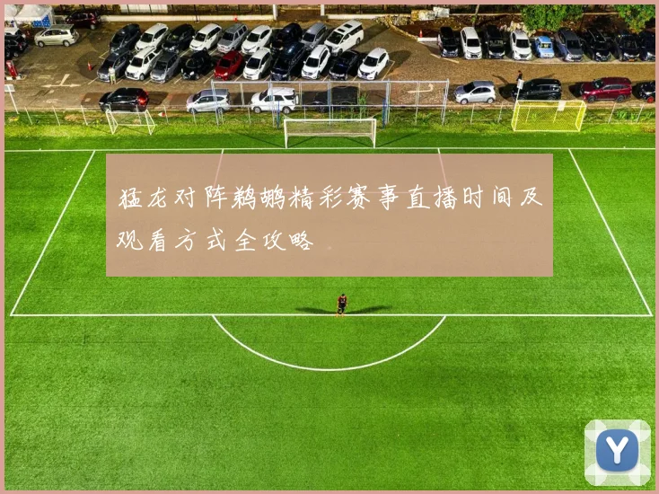 猛龙对阵鹈鹕精彩赛事直播时间及观看方式全攻略